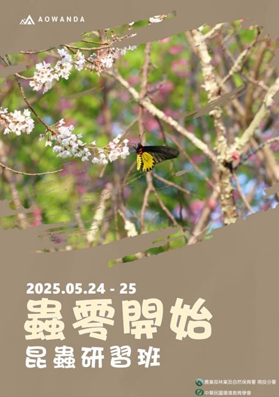 蟲零開始昆蟲研習班