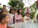 蛙類生態解說