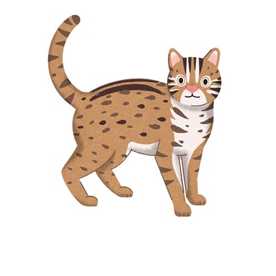 石虎插圖