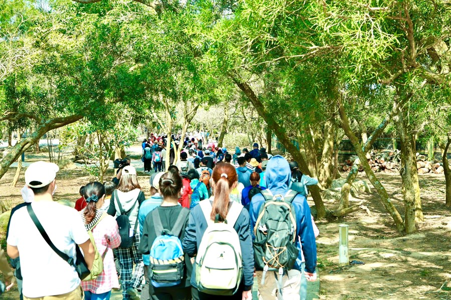 健走桂花泉登山步道