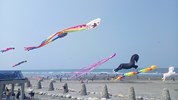 五顏六色風箏齊聚大安濱海樂園